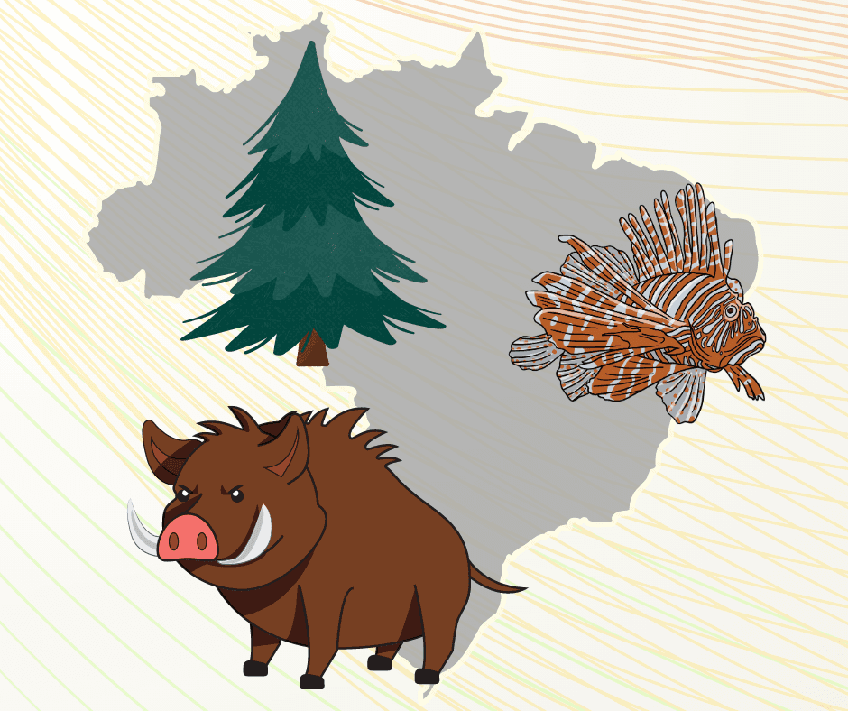 Pesquisa de Espécies Invasoras